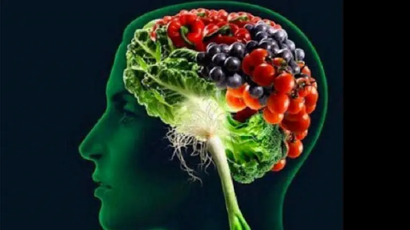 Possibili relazioni tra cibo e neuroinfammazioni: esperti a confronto