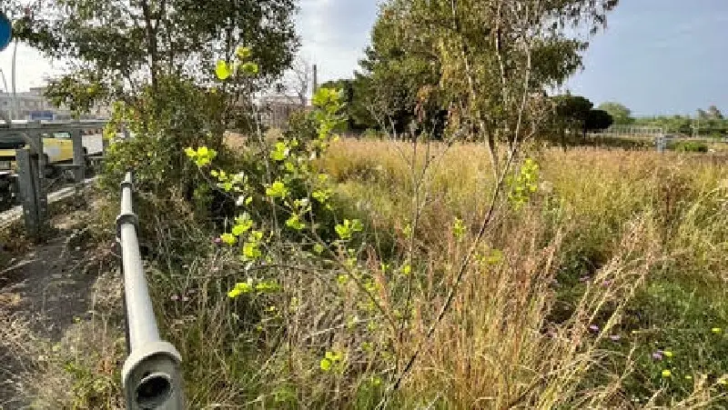 Bivio Nalini impresentabile: sollecito comunale alla Provincia