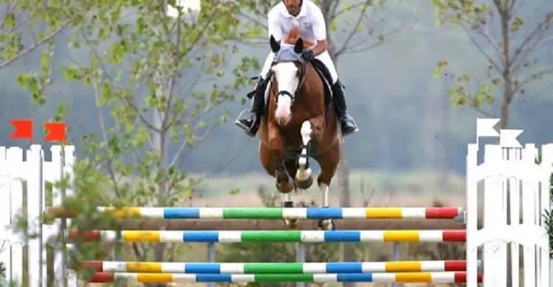 Giornata fuori dal tempo con il mix no-stop al Centro Ippico