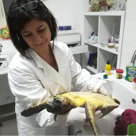 La veterinaria catanzarese Giglio premiata dalla Fnovi