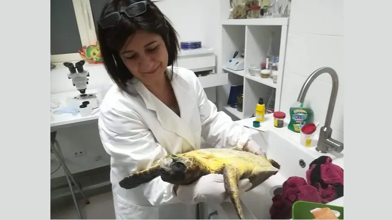 La veterinaria catanzarese Giglio premiata dalla Fnovi