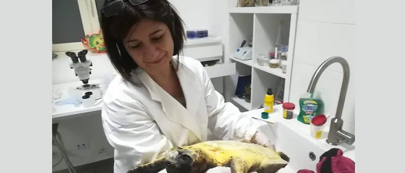 La veterinaria catanzarese Giglio premiata dalla Fnovi