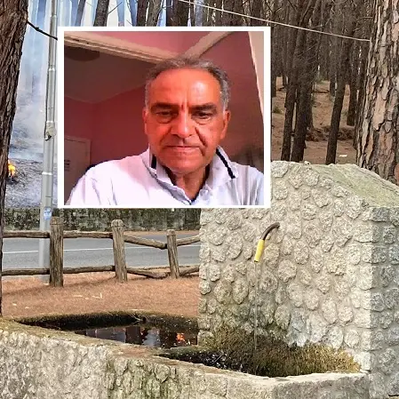 Pineta bruciata: ferragosto a Siano per sensibilizzare rinascita