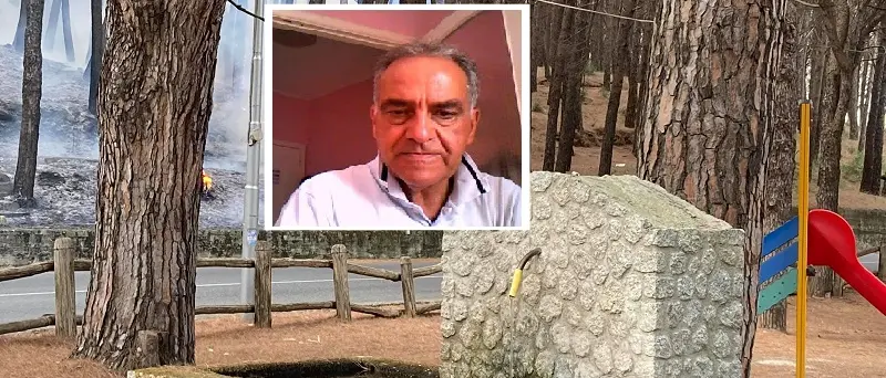 Pineta bruciata: ferragosto a Siano per sensibilizzare rinascita