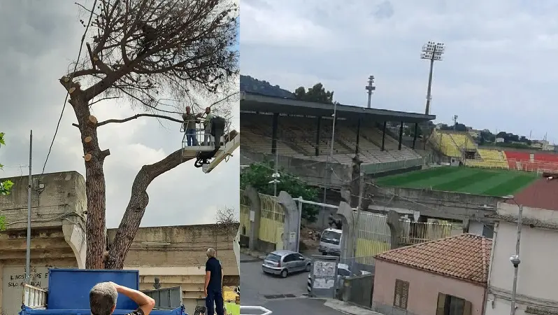 Addio caro, vecchio, storico pino della mitica Curva Ovest-Capraro