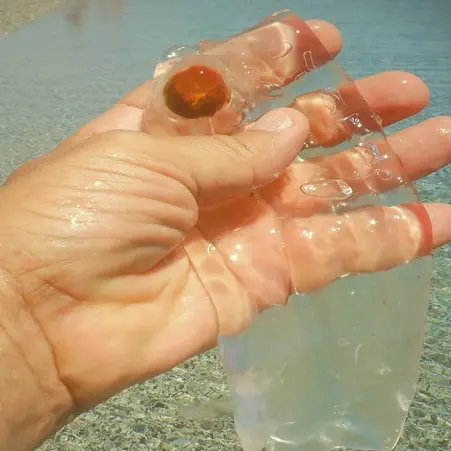 Spettacolo a Montepaone: spiaggiano centinaia di salpe