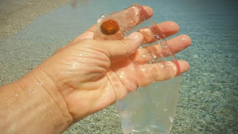 Spettacolo a Montepaone: spiaggiano centinaia di salpe