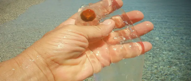 Spettacolo a Montepaone: spiaggiano centinaia di salpe