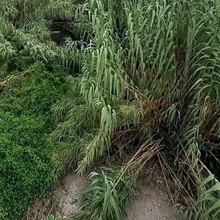 Pulizia e bonifica letti dei fiumi, riunione operativa in Comune