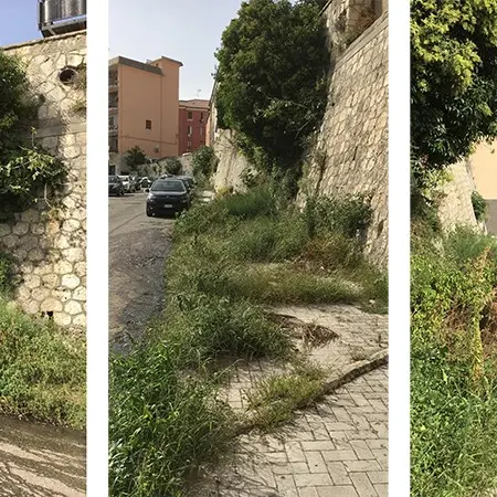 Perdite d'acqua e vegetazione incolta: vergogna in via Stretto Cappuccini