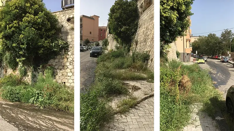 Perdite d'acqua e vegetazione incolta: vergogna in via Stretto Cappuccini