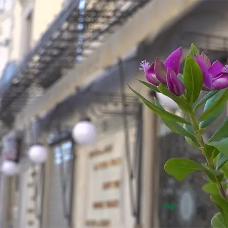 Riapre il Caffè Imperiale, torna a battere il cuore di Catanzaro - VIDEO