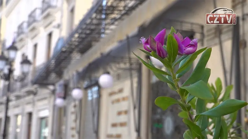 Riapre il Caffè Imperiale, torna a battere il cuore di Catanzaro - VIDEO