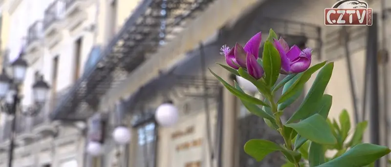 Riapre il Caffè Imperiale, torna a battere il cuore di Catanzaro - VIDEO