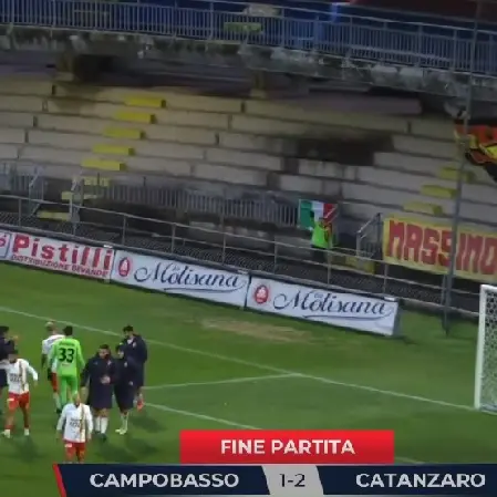 Aquile ciniche, in Molise altri tre punti (storici) per la risalita - VIDEO