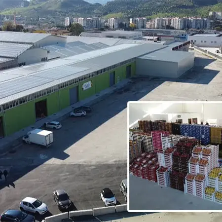 Aperto in città il grande centro ortofrutta DueG Gigliotti - VIDEO