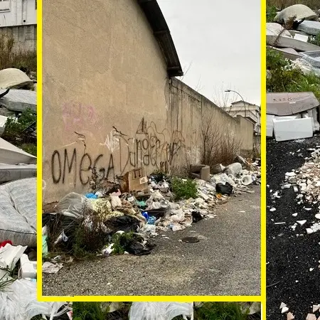 Virus o non virus, qui c'è sempre emergenza igienica