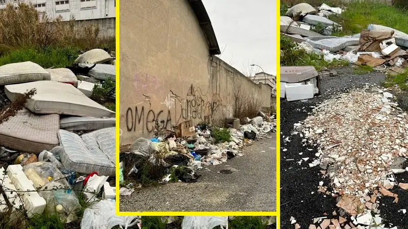 Virus o non virus, qui c'è sempre emergenza igienica