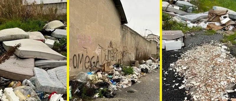 Virus o non virus, qui c'è sempre emergenza igienica