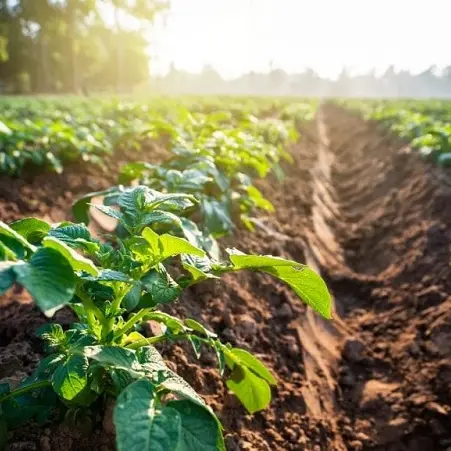 \"Coltivare il futuro\", i-meeting di tre giorni sull'agricoltura