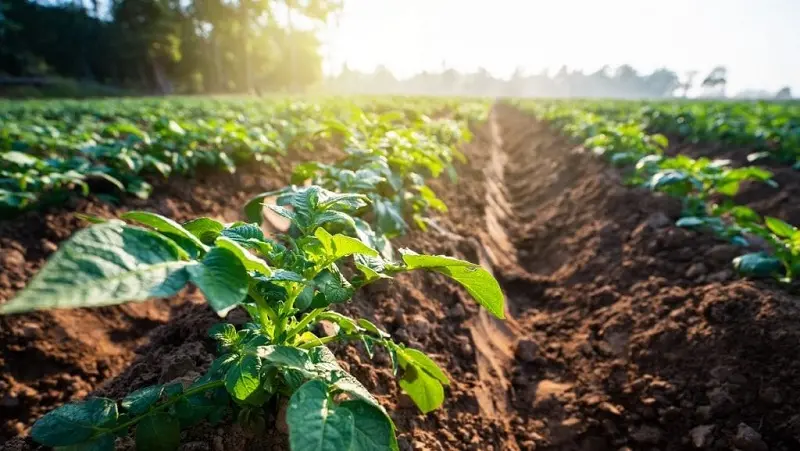 \"Coltivare il futuro\", i-meeting di tre giorni sull'agricoltura