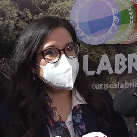 Rinnovabili: \"La Calabria diventi fonte d'energia\" -VIDEO