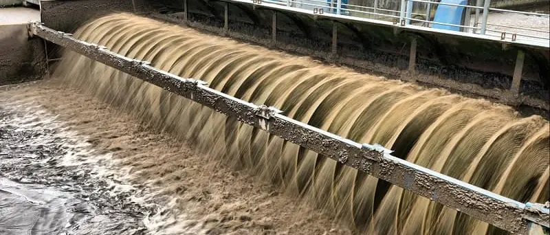 Puzza depuratore: Legambiente denuncia, Longo risponde