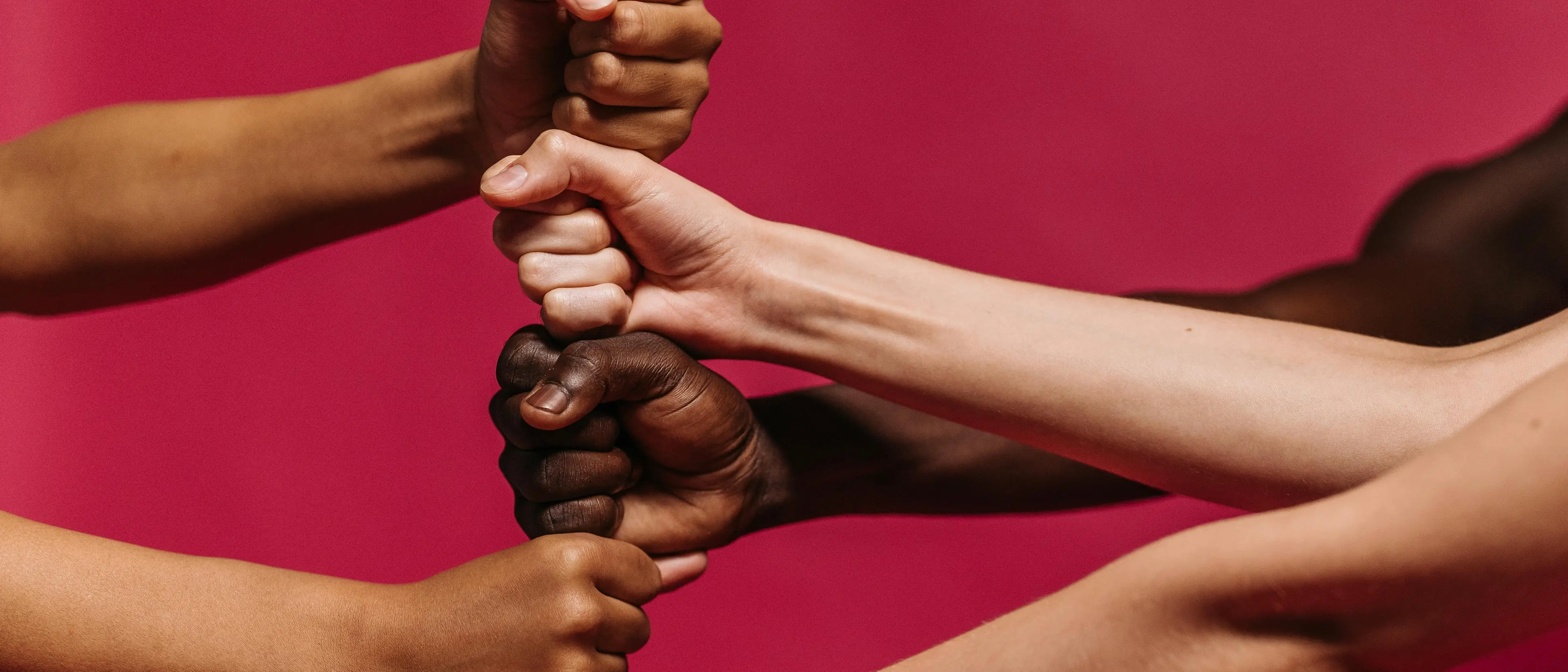 L’integrazione in cucina: a Cosenza nasce “Cuochi d’altri mondi”, protagonisti\u00A0i migranti dei centri Sai\n