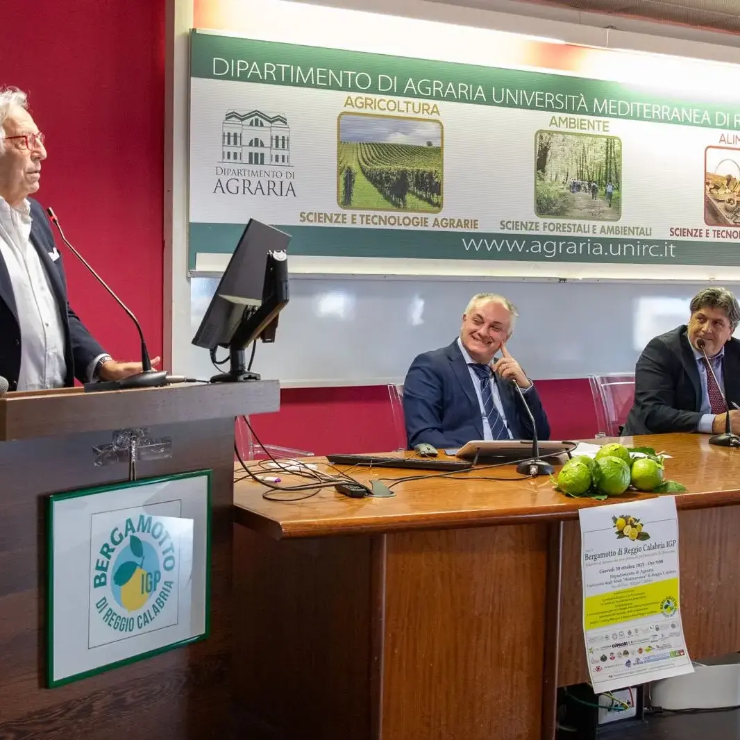 Locride,\u00A0c’è tempo fino al 13 novembre per partecipare al bando contro lo spopolamento delle aree interne\n