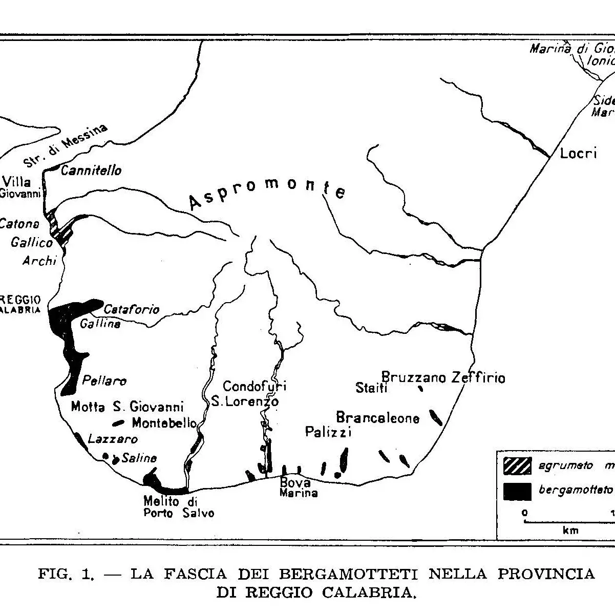 Reggio, Cuzzola propone un Parco Urbano del Bergamotto nella Vallata del Calopinace\n