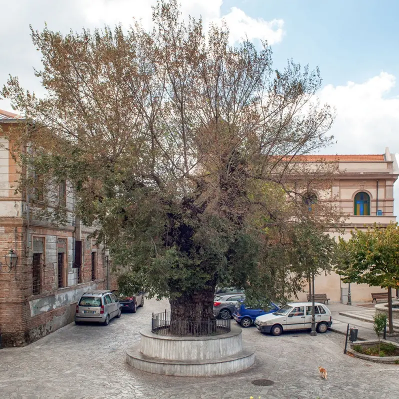 San Lorenzo, l’allarme del sindaco Polimeni: «Conti bloccati e solo 4mila euro in cassa. Così rischiamo il collasso»\n