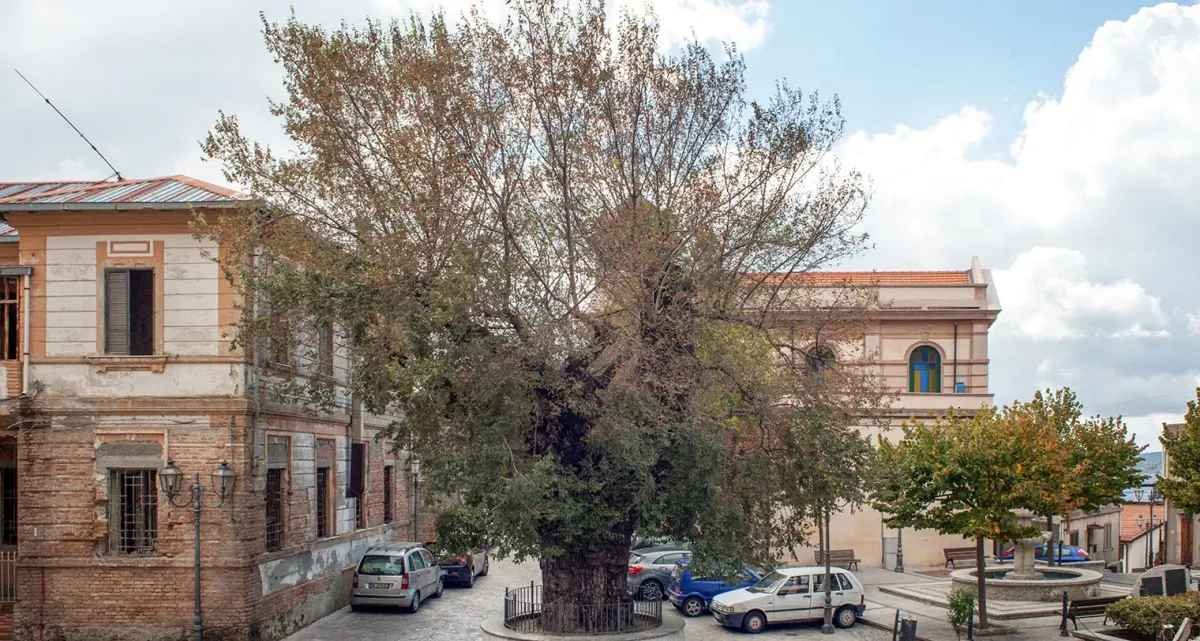 In provincia di Reggio c'è un Comune con 4mila euro in cassa che rischia di “fallire” e non riesce a pagare gli stipendi