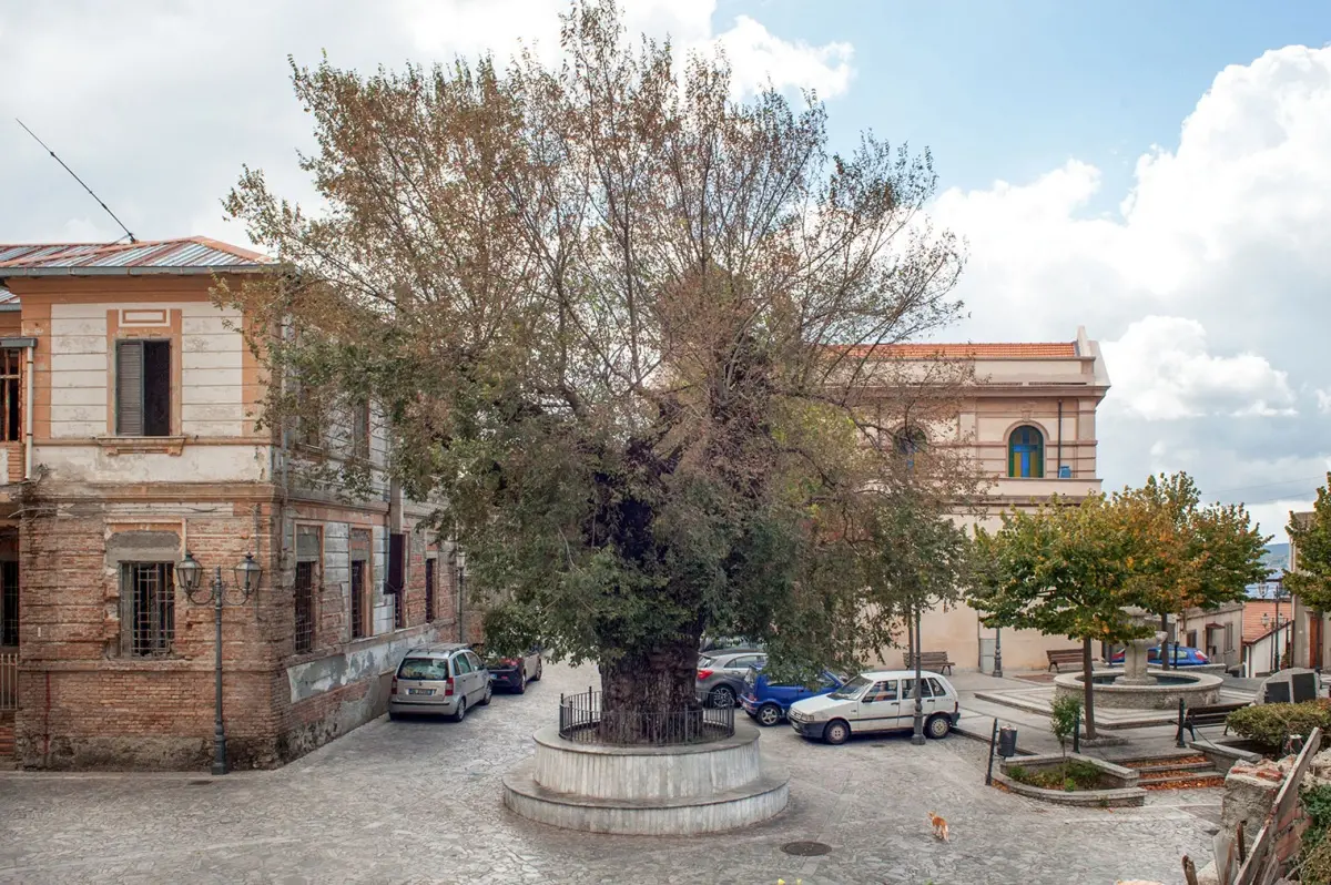 San Lorenzo, l’allarme del sindaco Polimeni: «Conti bloccati e solo 4mila euro in cassa. Così rischiamo il collasso»\n