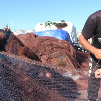 Silenzio assordante al porto di Vibo Marina, i pescatori chiedono aiuto: «I poteri forti decidono, noi paghiamo»
