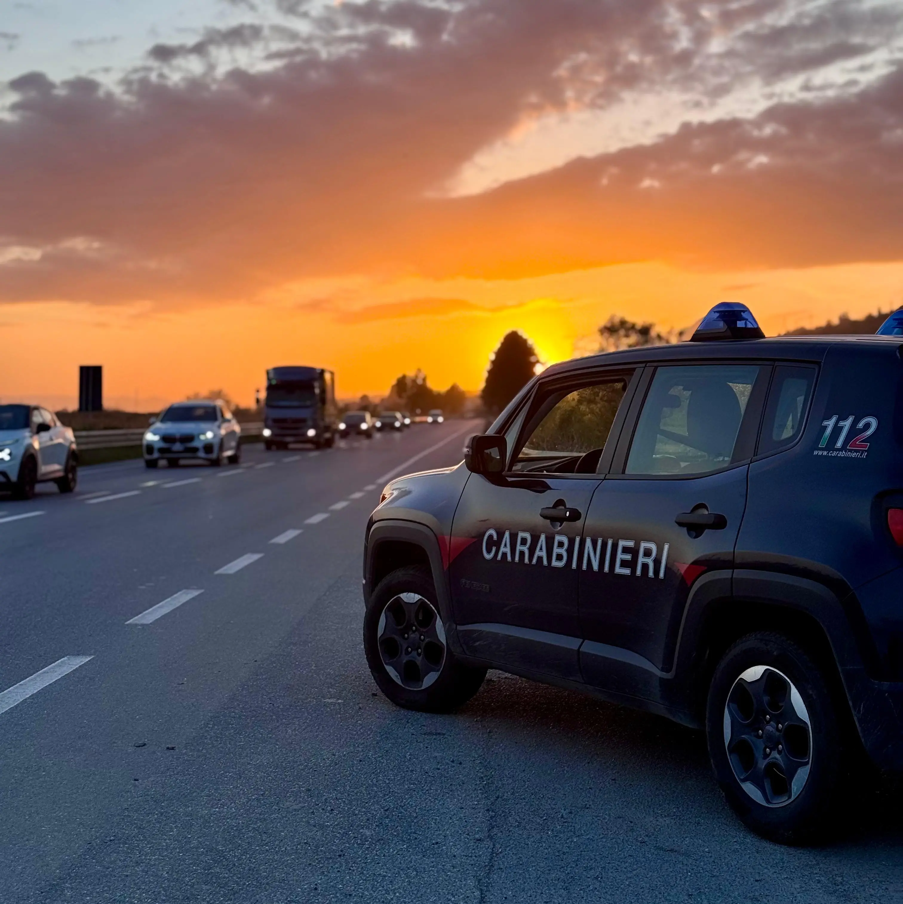 Statale 106, agricoltori sorpresi a tagliare quasi 80 ulivi protetti: scattano sanzioni per 77mila euro\n