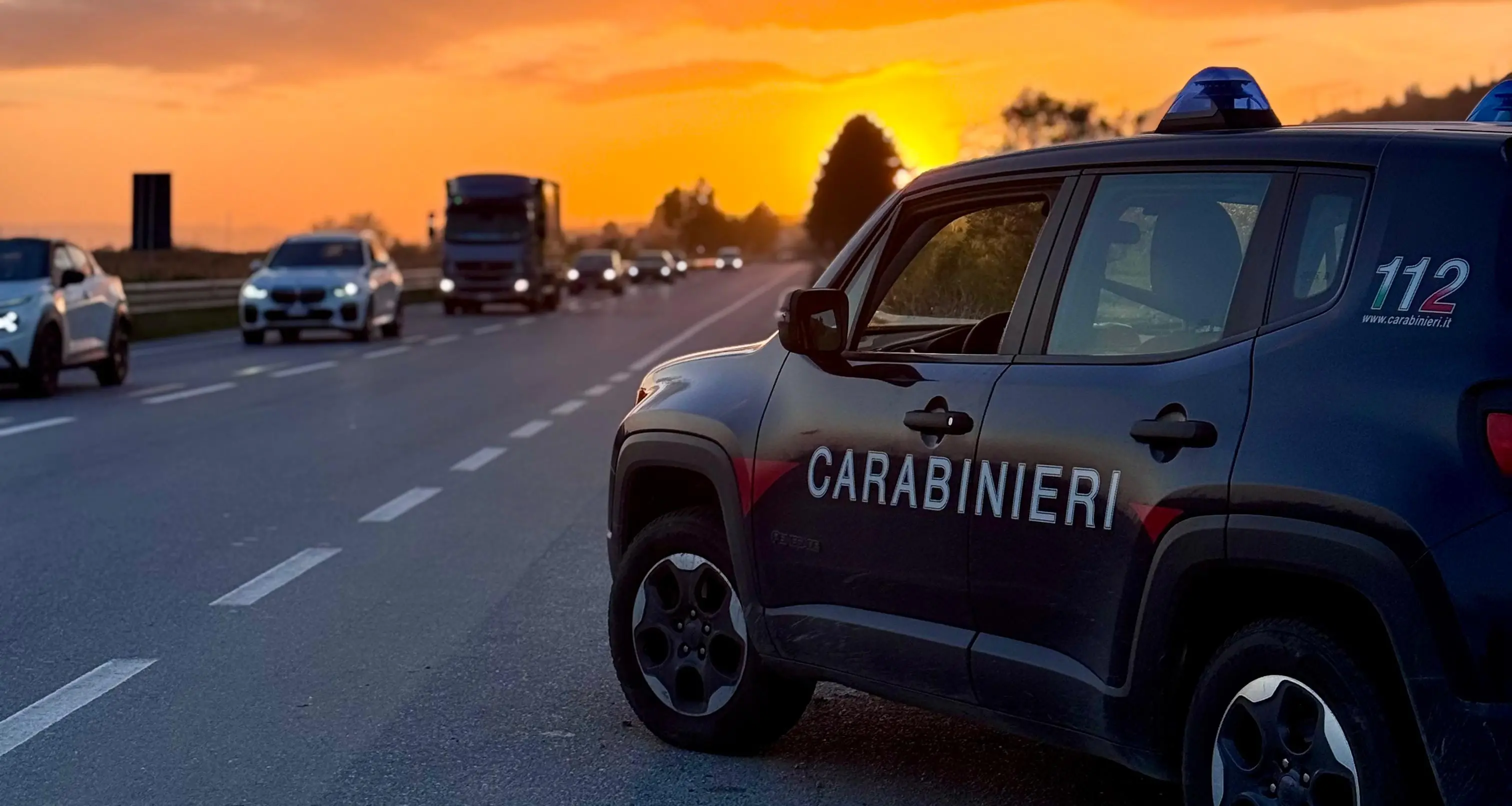 Statale 106, agricoltori sorpresi a tagliare quasi 80 ulivi protetti: scattano sanzioni per 77mila euro\n