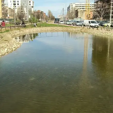 Moria di pesci nel laghetto del Parco del Benessere a Cosenza: il Comune avvia analisi sulle acque