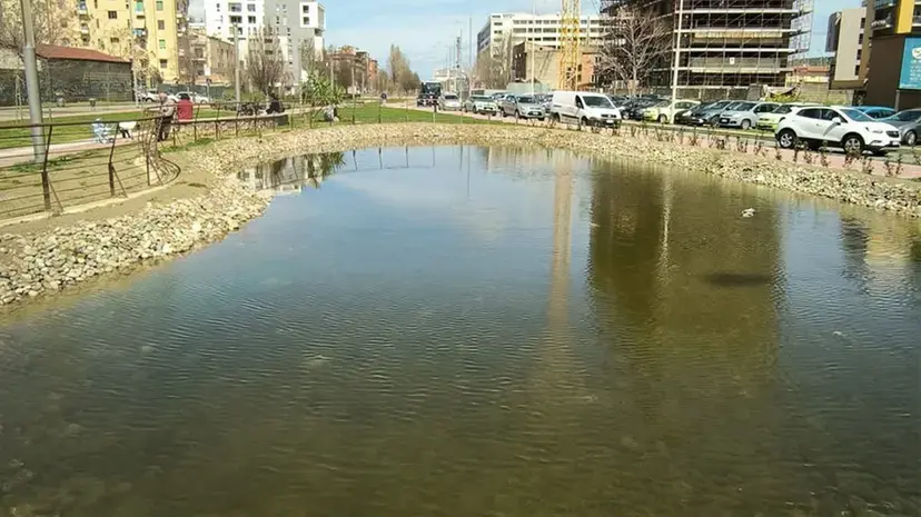 Moria di pesci nel laghetto del Parco del Benessere a Cosenza: il Comune avvia analisi sulle acque
