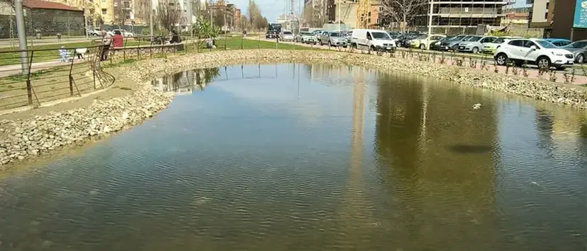 Moria di pesci nel laghetto del Parco del Benessere a Cosenza: il Comune avvia analisi sulle acque