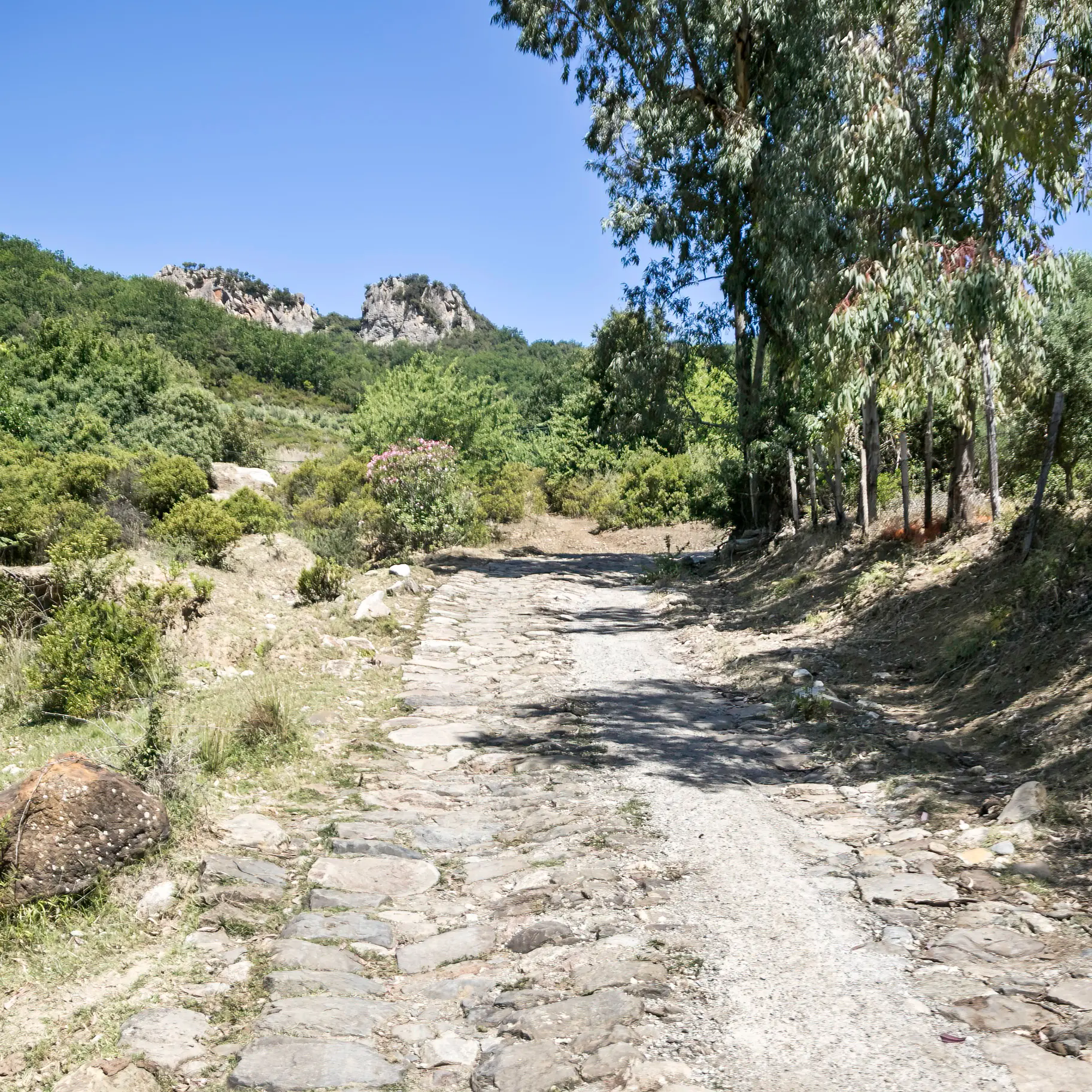 Escursione sui “Sentieri dimenticati”: domenica 9 novembre il percorso ad anello de “’A nzilicata du Ceramidìo”\n