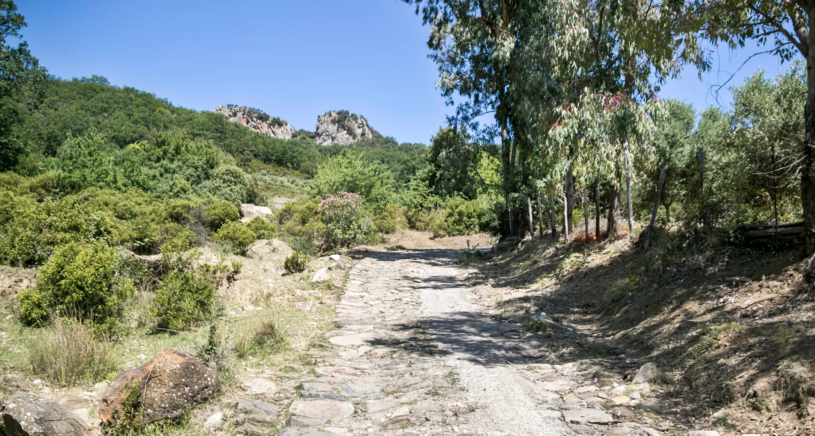 Escursione sui “Sentieri dimenticati”: domenica 9 novembre il percorso ad anello de “’A nzilicata du Ceramidìo”\n