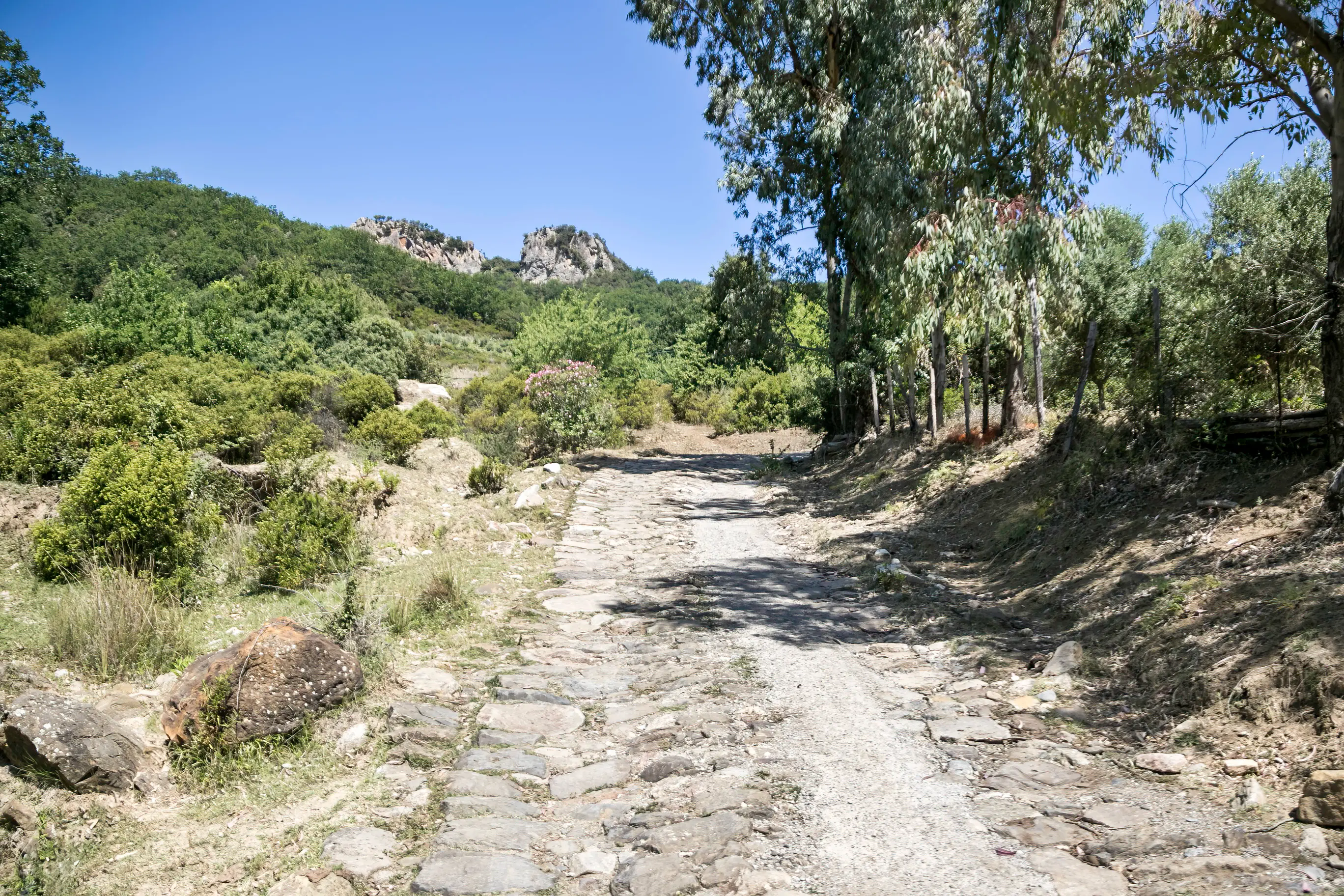 Escursione sui “Sentieri dimenticati”: domenica 9 novembre il percorso ad anello de “’A nzilicata du Ceramidìo”\n