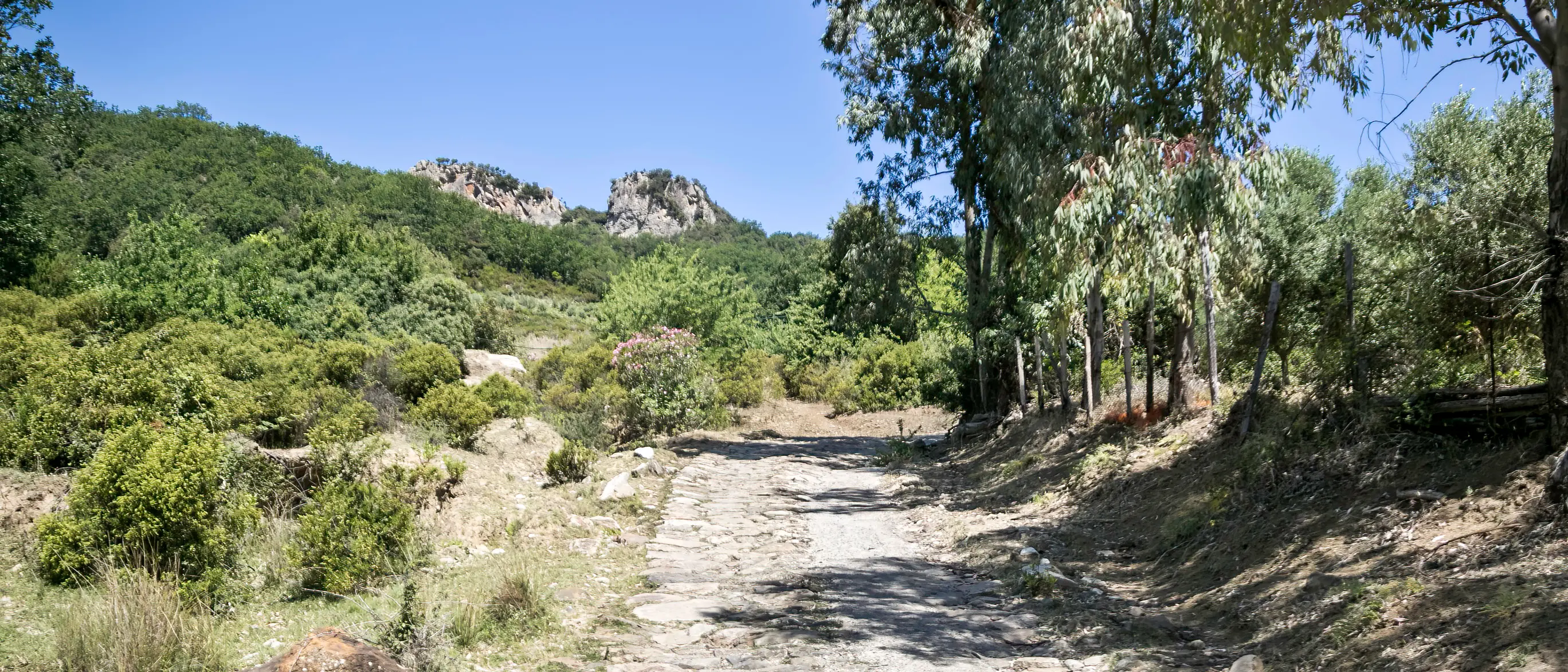 Escursione sui “Sentieri dimenticati”: domenica 9 novembre il percorso ad anello de “’A nzilicata du Ceramidìo”\n