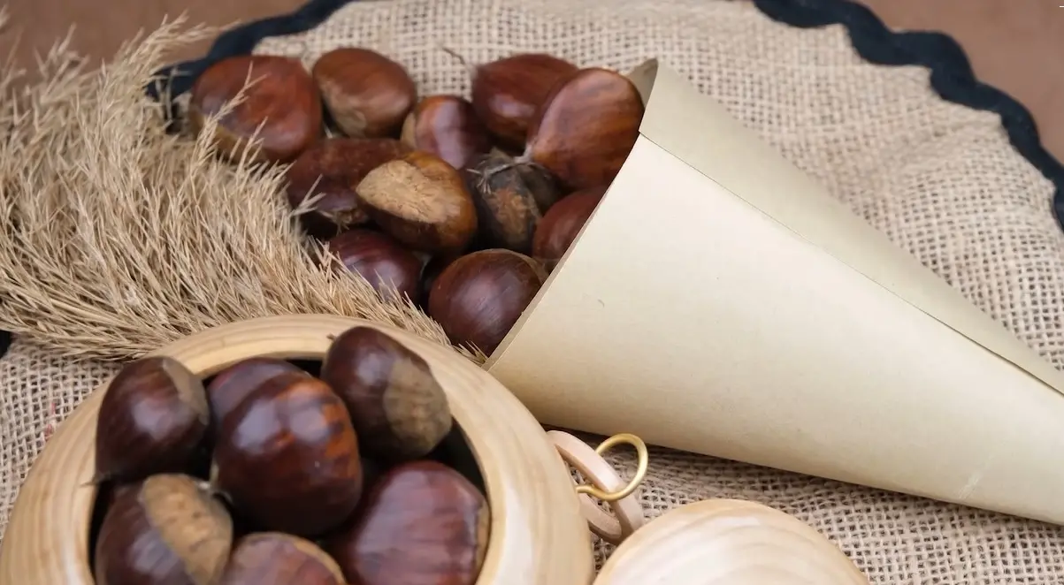 Dal Catanzarese la rinascita della castagna calabrese che ora guarda oltre i confini regionali\n