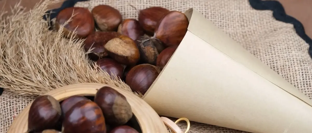 Dal Catanzarese la rinascita della castagna calabrese che ora guarda oltre i confini regionali\n