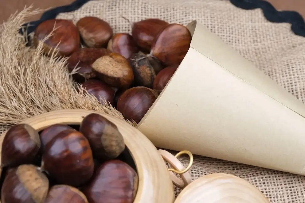 Dal Catanzarese la rinascita della castagna calabrese che ora guarda oltre i confini regionali\n