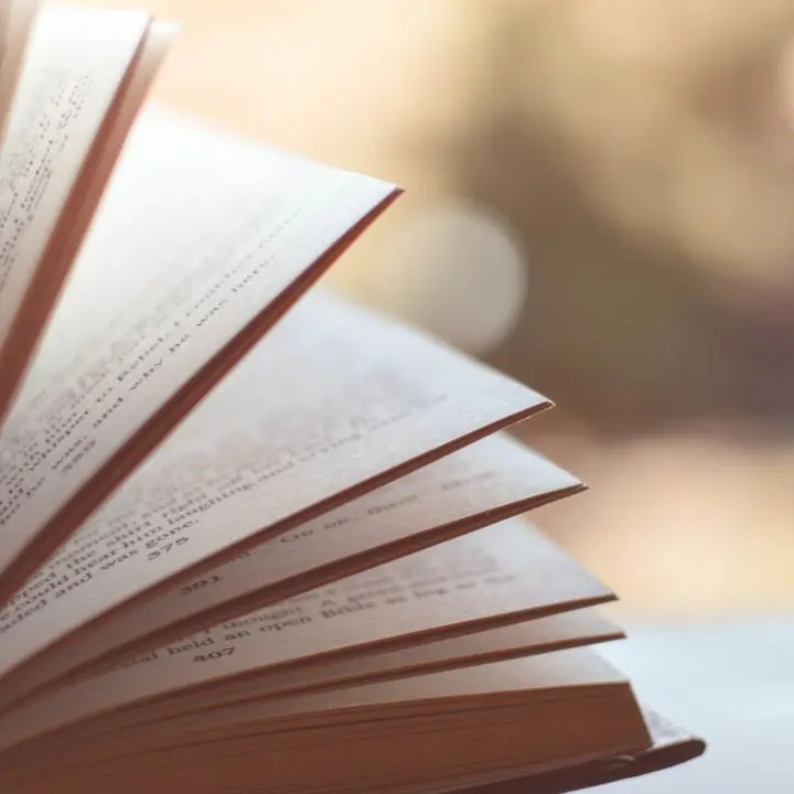 “L’arte che salva”, all’Archivio di Stato di Vibo la presentazione del libro di Caterina Malfarà Sacchini\n