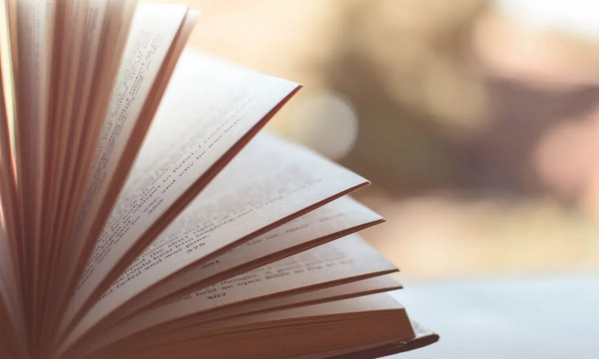 “L’arte che salva”, all’Archivio di Stato di Vibo la presentazione del libro di Caterina Malfarà Sacchini\n