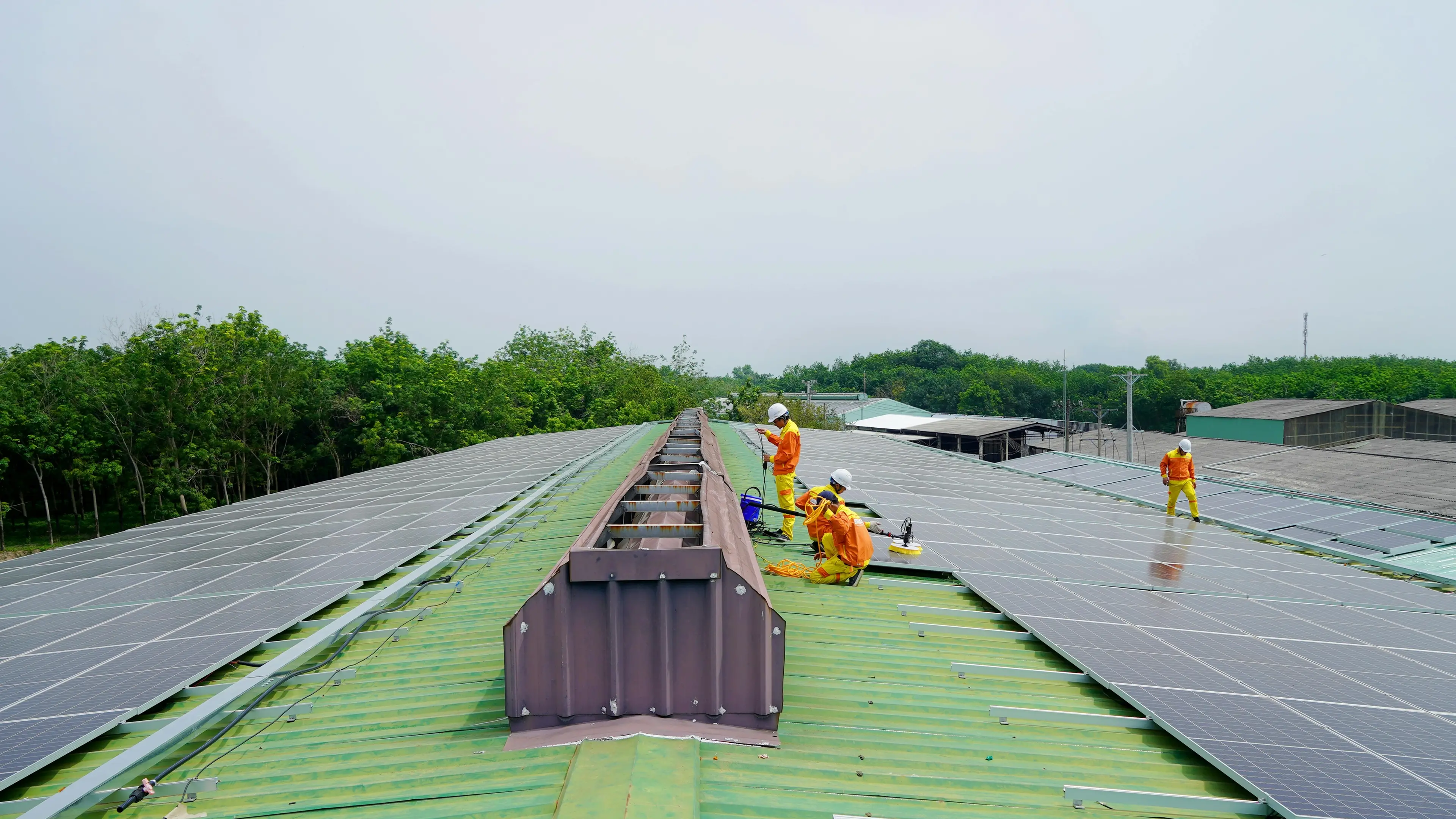 Pnrr Calabria, zero domande per la Transizione 5.0: le imprese rinunciano all’innovazione e ai fondi green\n
