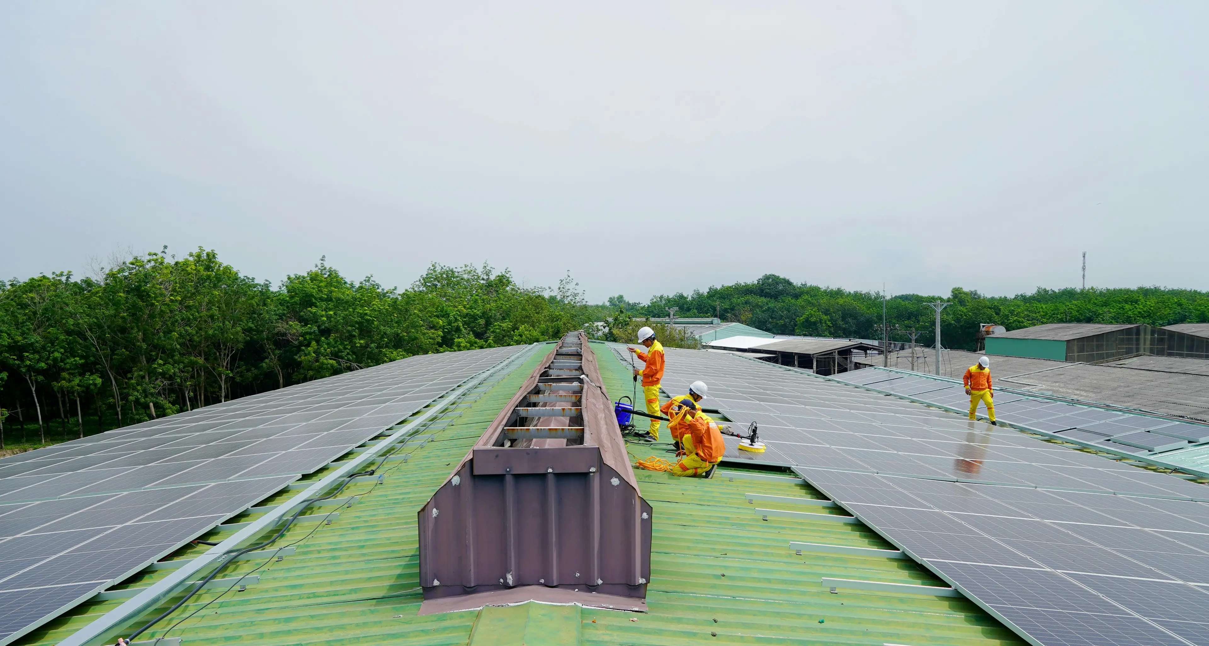 Pnrr Calabria, zero domande per la Transizione 5.0: le imprese rinunciano all’innovazione e ai fondi green\n